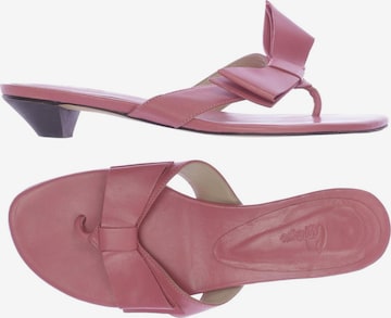 Castañer Sandals & High-Heeled Sandals in 36 in Pink: front