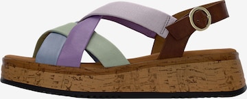 Sandales GABOR en mélange de couleurs : devant