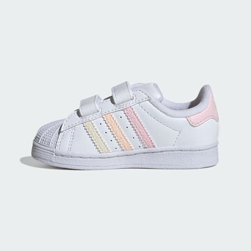 ADIDAS ORIGINALS Sneaker ' Superstar  ' in Weiß