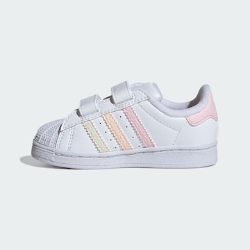 ADIDAS ORIGINALS Sneakers ' Superstar  ' in Wit