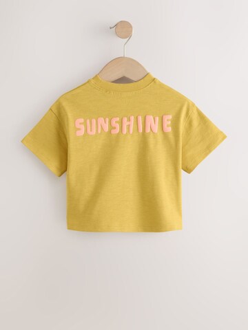 Next T-Shirt in Mischfarben
