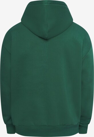 Dropsize Sweatshirt i grønn