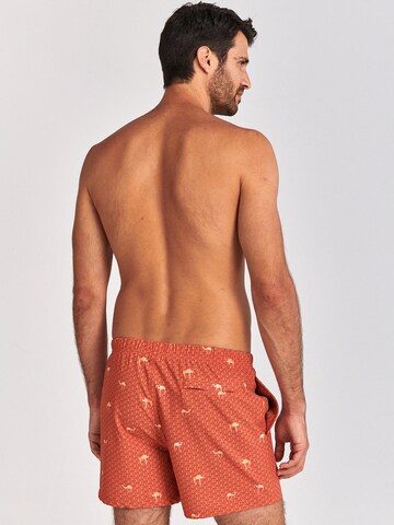 Shiwi Board Shorts in Brown