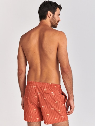 Shorts de bain Shiwi en marron