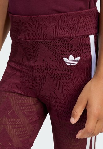 ADIDAS ORIGINALS Комплект в Красный