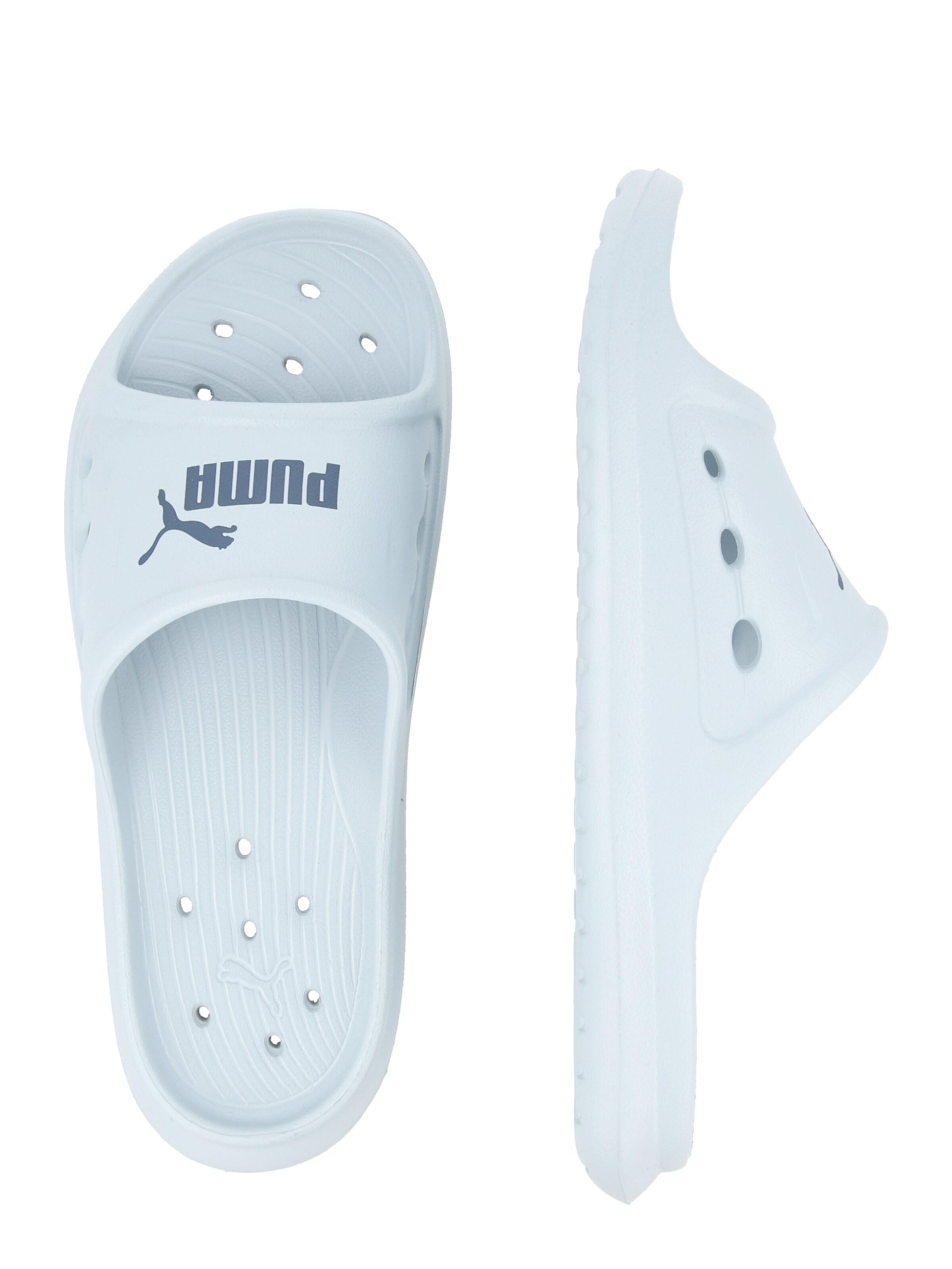 PUMA Pantofle 'Divecat Dry' – modrá