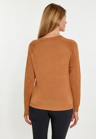 Pull-over usha BLACK LABEL en marron