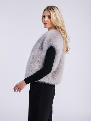 FREAKY NATION Bodywarmer in Grijs