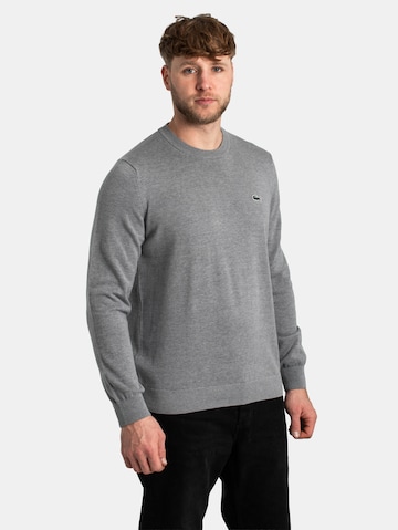 LACOSTE Sweatshirt in Grey
