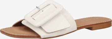 SCAPA Mules in White: front