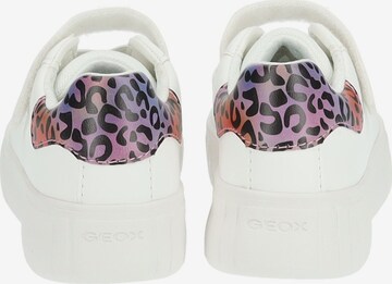 GEOX Sneakers in Wit