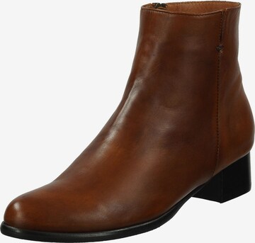 Bottines Everybody en marron : devant