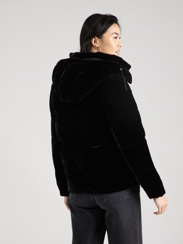 Polo Ralph Lauren Winter Jacket in Black