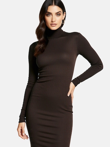 PANTHEROAR Pletena obleka 'High Neck Long Dress' | rjava barva