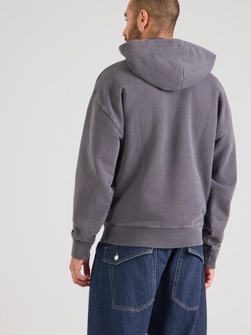 LEVI'S ® Sweatshirt 'Two Horse' in Grau