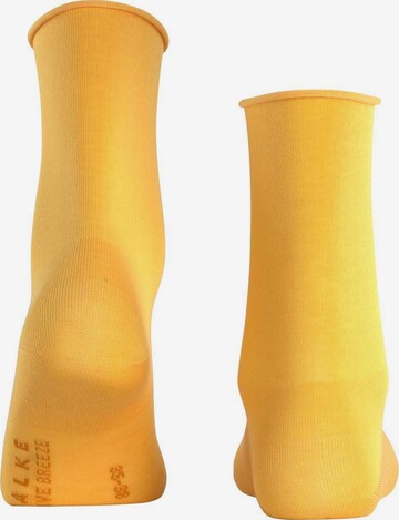 Chaussettes FALKE en jaune