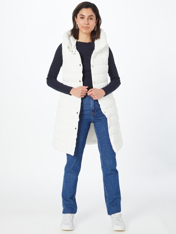 Gilet di TOMMY HILFIGER in bianco