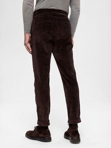 Regular Pantalon Antioch en marron