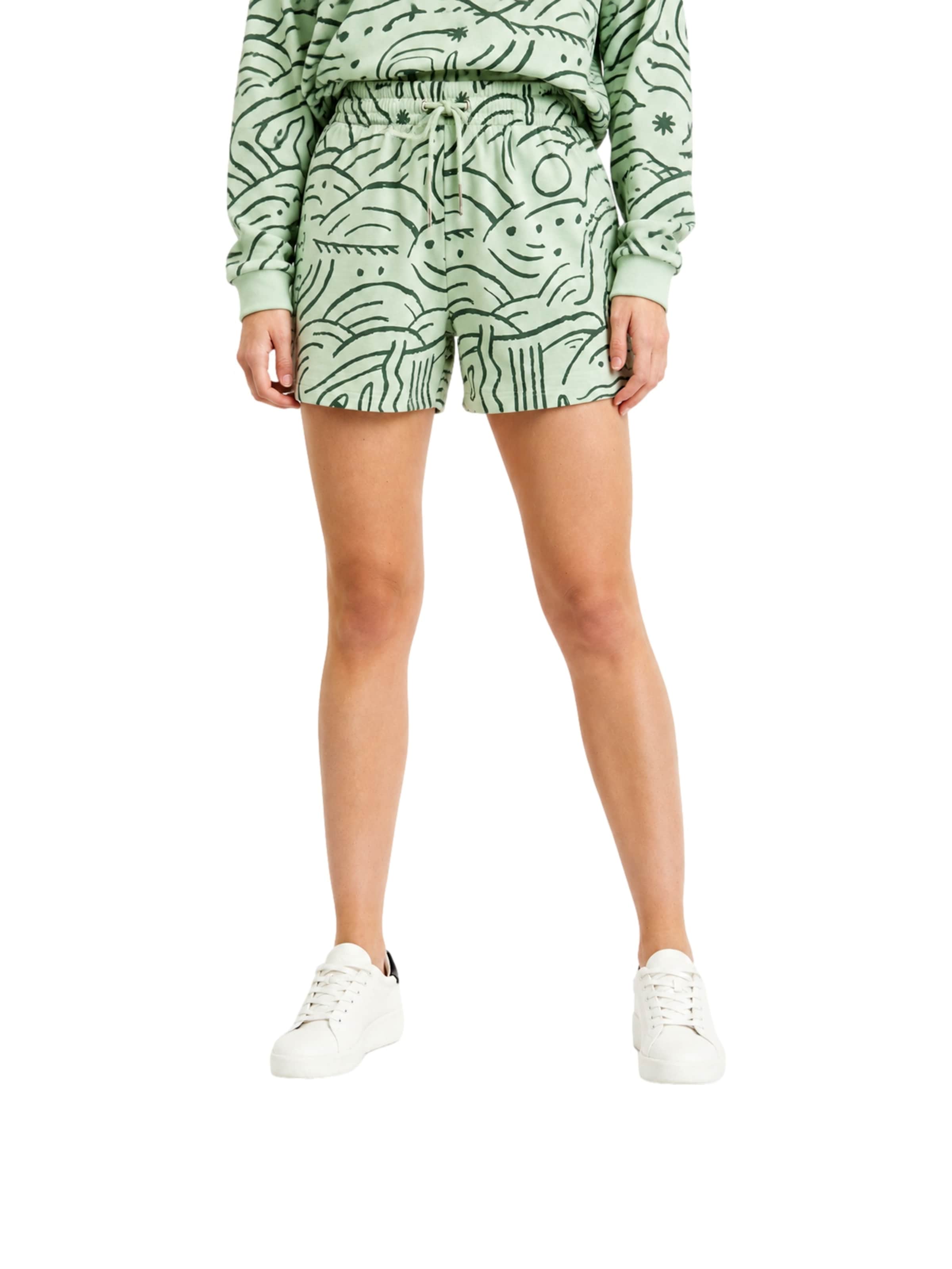 Ragwear - regular Pantalón 'Aniku' en verde: frente