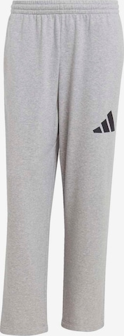 Regular Pantalon de sport 'Essentials' ADIDAS SPORTSWEAR en gris : devant