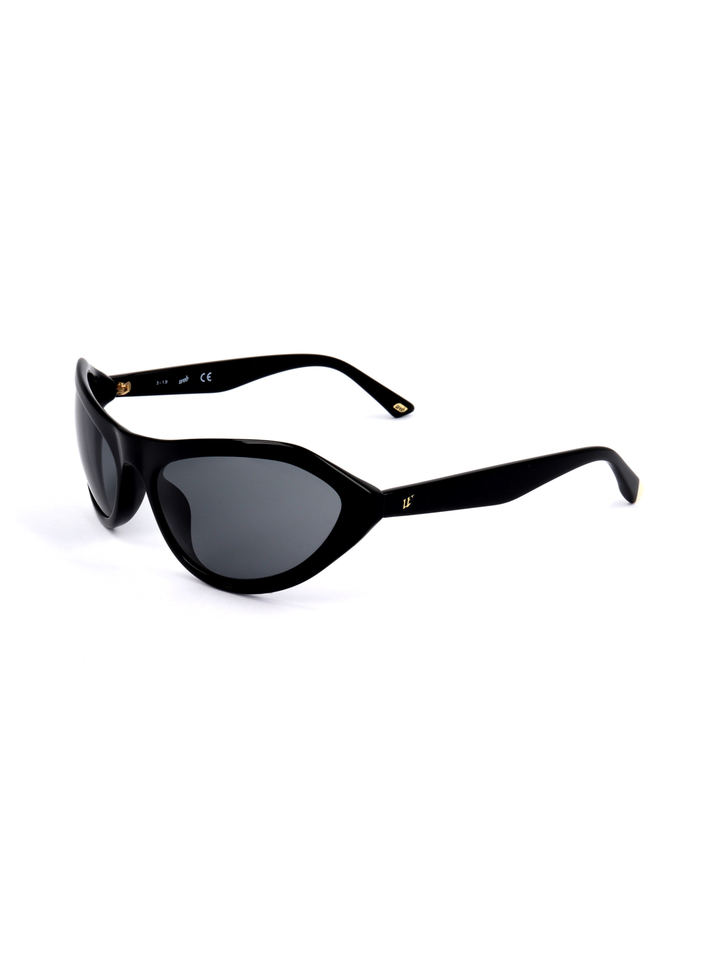 Occhiali da sole 'WE0288' di Web Eyewear in nero