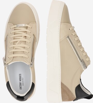 ANTONY MORATO Låg sneaker i beige