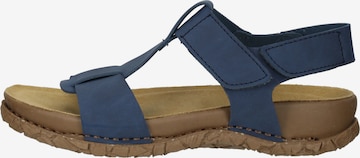 EL NATURALISTA Strap Sandals in Blue