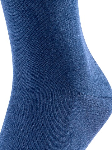FALKE Socks in Blue