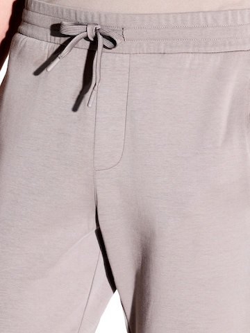 Regular Pantalon de sport ARMANI EXCHANGE en gris