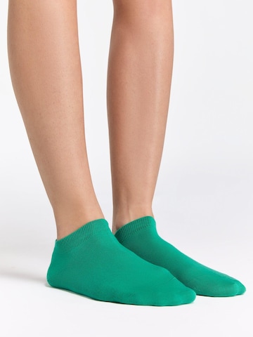 Albero Natur Füßlinge 'Bio-Baumwoll-Sneakersocken Unisex - 2er Pack'‌‌‌ in Grün: Vorderseite