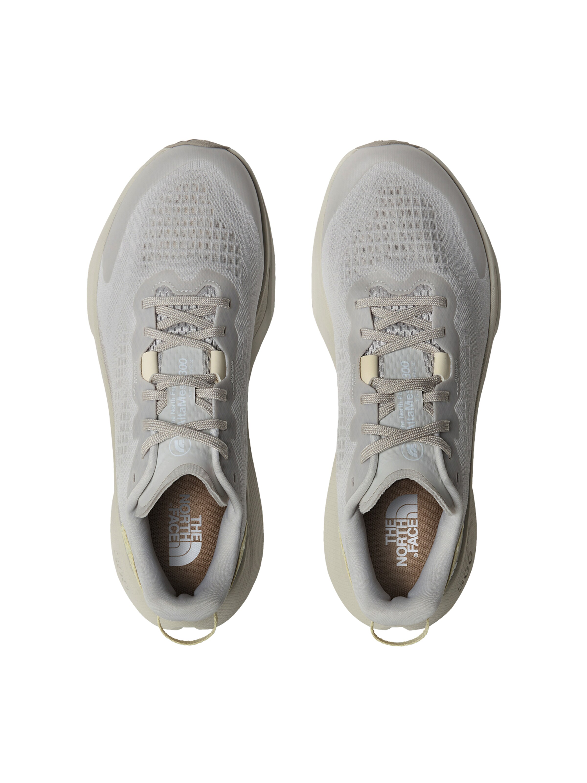 THE NORTH FACE Σνίκερ χαμηλό 'Altamesa 300' σε γκρι