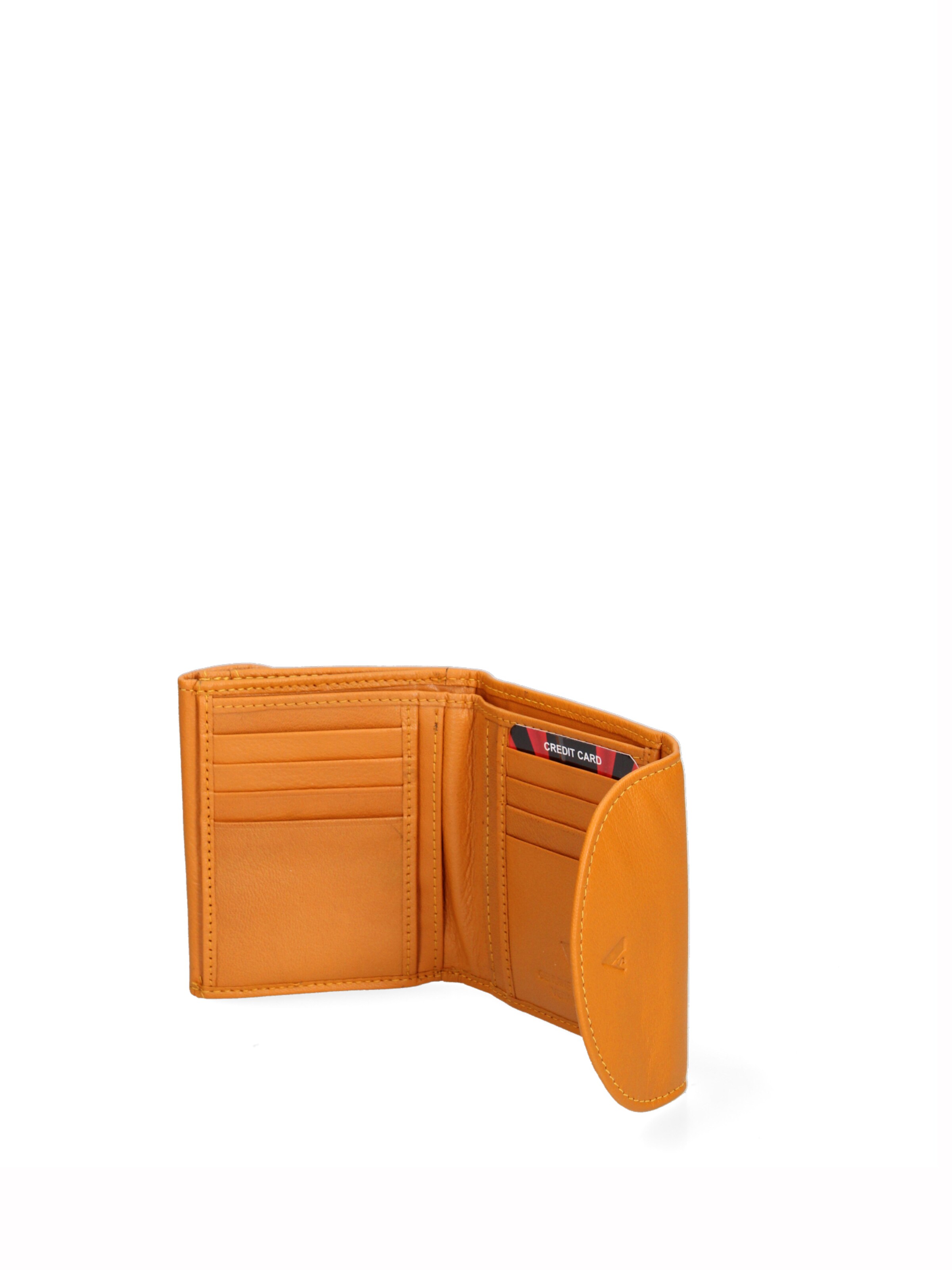 Sergio Valentini Wallet in Yellow