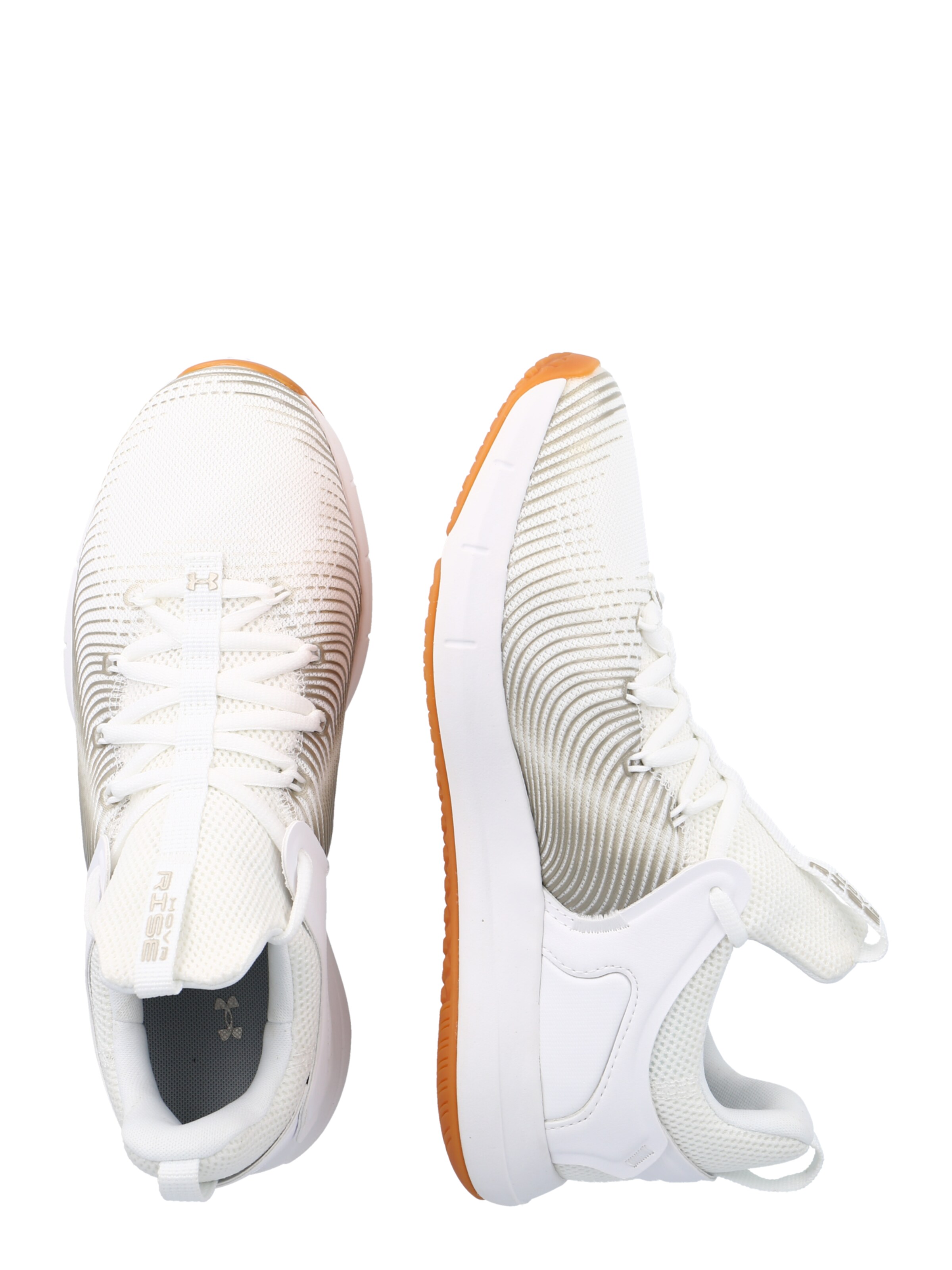Frauen Sportarten UNDER ARMOUR Sportschuh 'HOVR Rise 2' in Beige - IE23059 Frauen Sportarten UNDER ARMOUR Sportschuh 'HOVR Rise 2' in Beige - IE23059