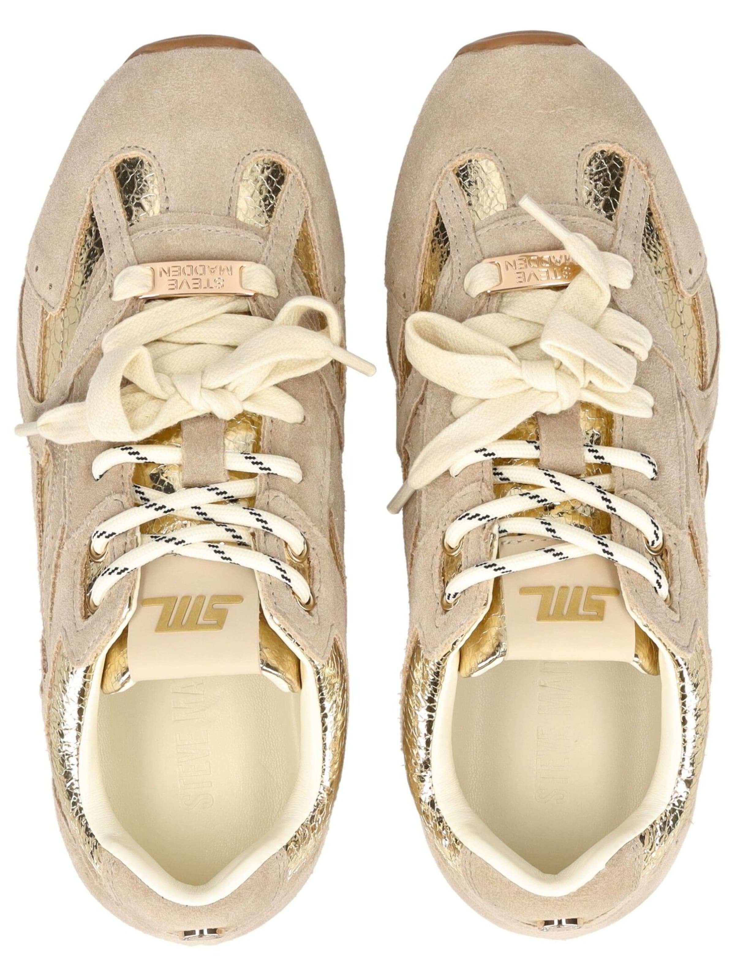 Baskets basses STEVE MADDEN en beige