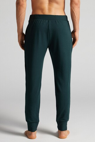 INTIMISSIMI Tapered Hose in Grün