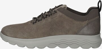 Sneaker bassa di GEOX in grigio