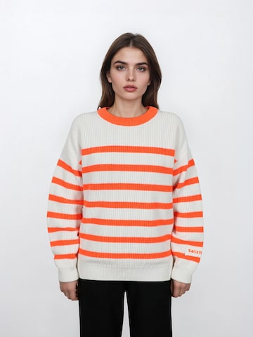 salzhaut Sweatshirt 'Verbaast' in Orange: Vorderseite