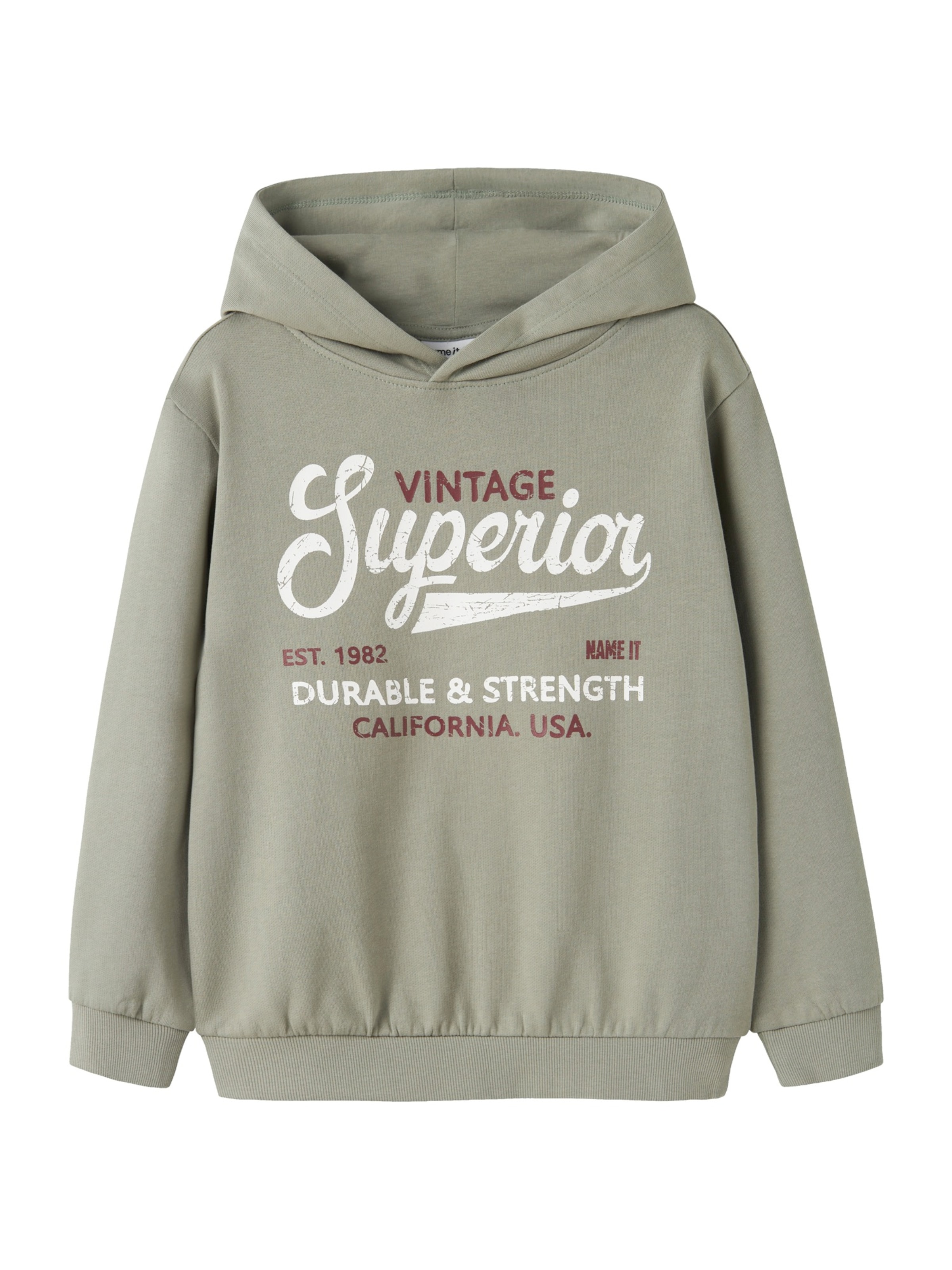 NAME IT - Sudadera 'NKMVIANTON' en gris: frente
