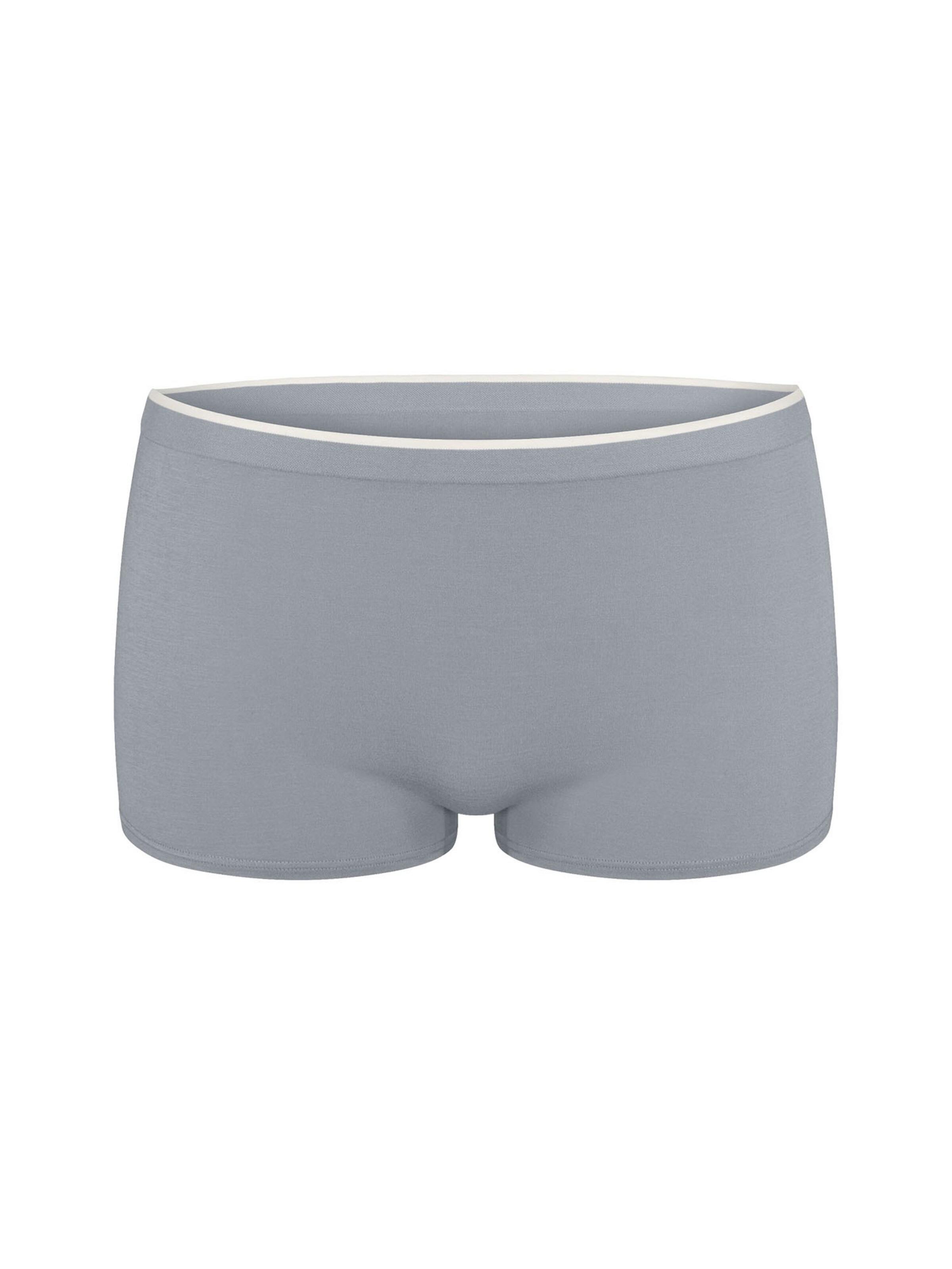 SLOGGI Panty ' Blue GO Sense ' in Grau