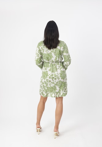 Elara Kleid in Grün