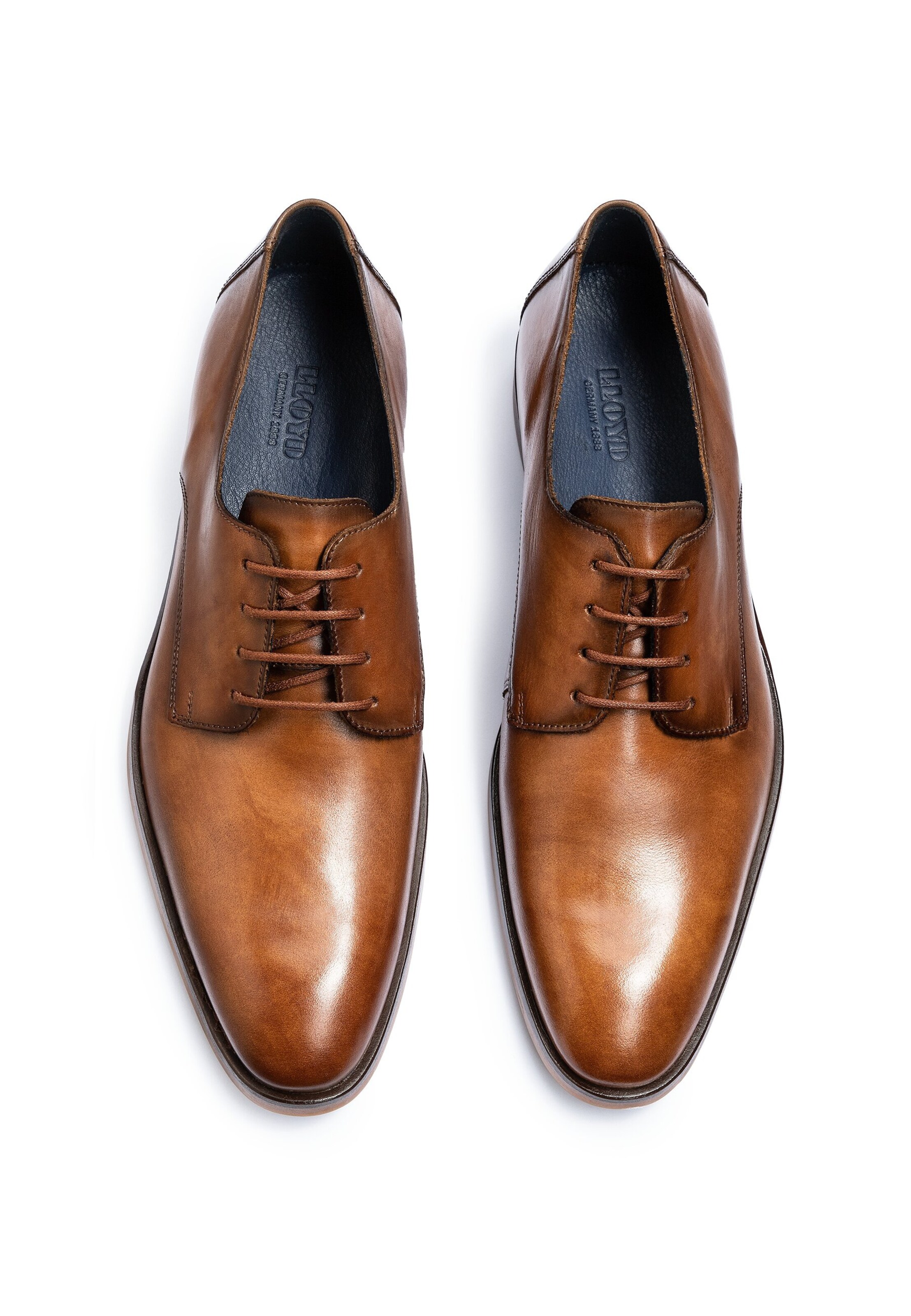 LLOYD Nauhakengät 'Odil' värissä ruskea