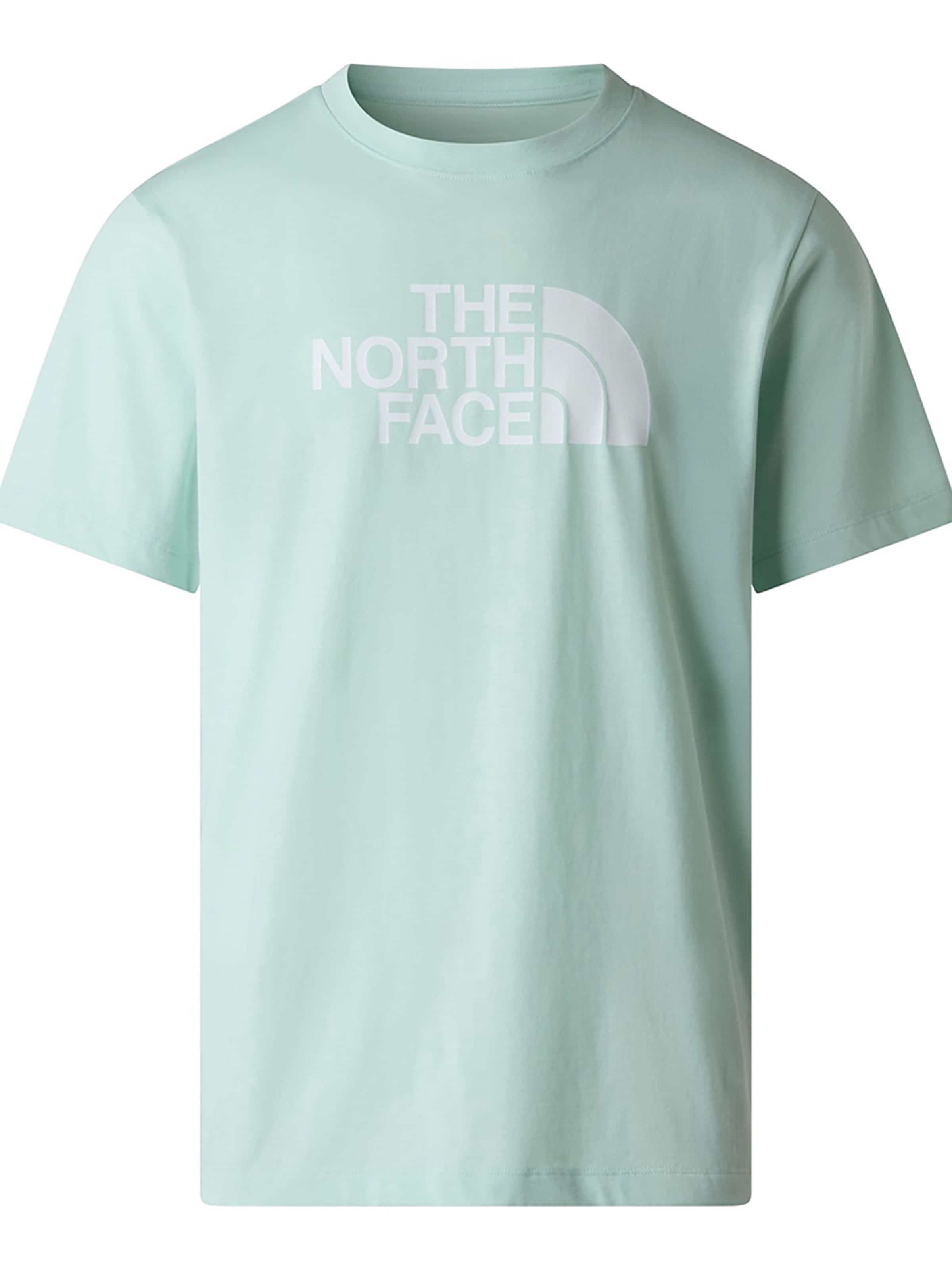 THE NORTH FACE Shirt 'Evolution Half Dome' in L in Opal, Item view