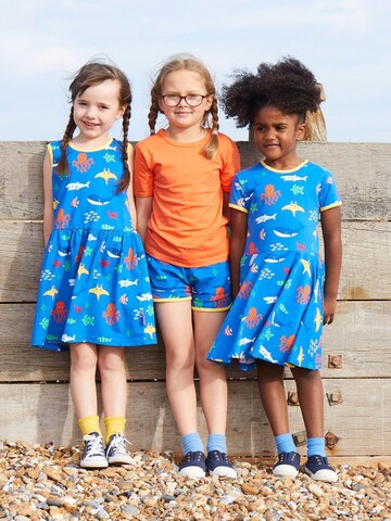 Toby Tiger Regular Pants in Blue: front