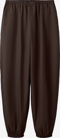 Effilé Pantalon LMTD en marron : devant