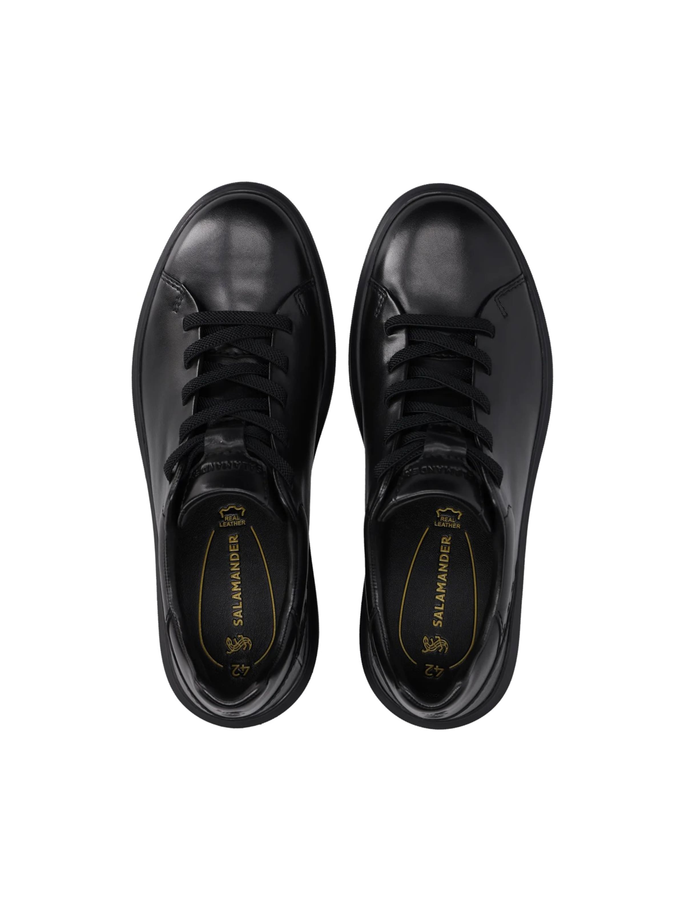 SALAMANDER Platform trainers in Black