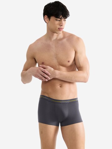 SLOGGI Retro Boxer ' Blue Start ' in Grau: Vorderseite