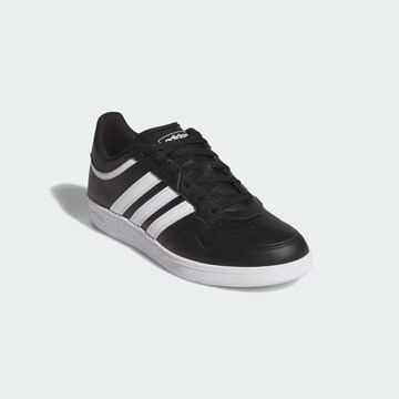 ADIDAS SPORTSWEAR Platform trainers 'Hoops 4.0' in Black
