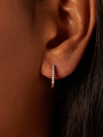 Lucardi Oorbellen in Zilver: voorkant