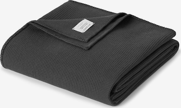 Cradle Studio Blankets 'Piqué Oversize' in Grey