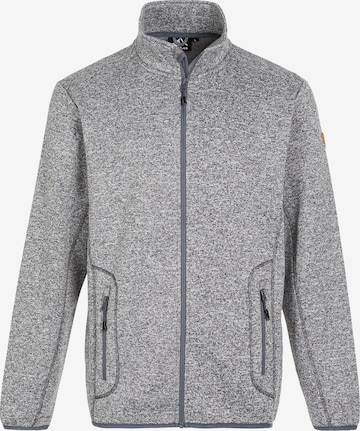 Whistler Athletic fleece jacket in Grey: front